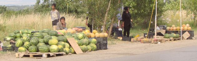 Prodej meloun v Bulharsku 