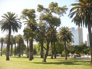 park v Melbourne