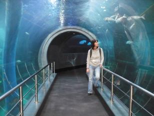 Melbourne Aquarium