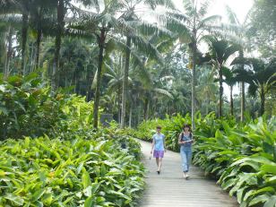 In the Singapore Botanic Garden