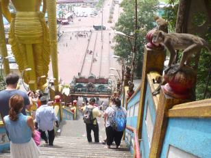 The Stairs and Monkeys in Batu Caves